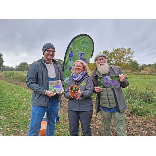 André Palm, Dr. Kristin Ludewig und Gartenbotschafter John Langley stellten die Blume des Jahres 2026 vor
